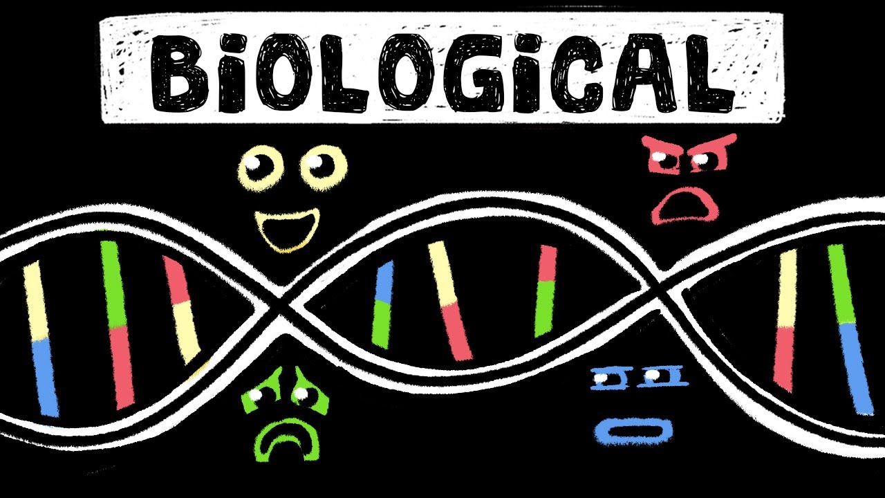 biologic-theory-theories-of-personality-theories-personality