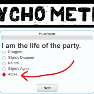 Psychometrics and Personality Quizzes - How to Measure Personality