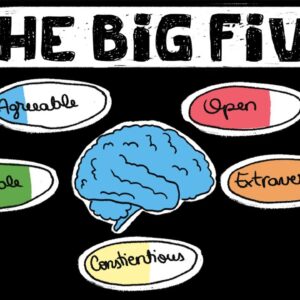 The Big 5 OCEAN Traits Explained - Personality Quizzes